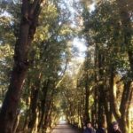 ciaksigirainterradisienailcompleannodibernardobertolucci12-20190320-092330