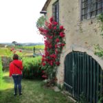 giardinivillalecorti03-20140527-114935