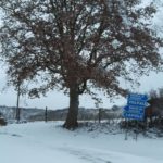 greveneve10-20190130-182356