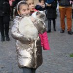 imprunetabenedizioneanimali20.1.2019_32-20190121-092648