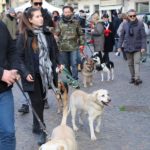 imprunetabenedizioneanimali20.1.2019_37-20190121-092753