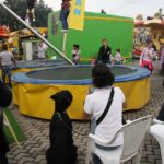 imprunetafierasanlucaottobre2014_20-20141020-145941