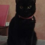 minnie-20150217-235613