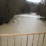 pesabargino_fototaddei2-20140131-153108