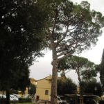 transennepiazzarepubblicapiazzone29.10.2018_4-20181029-140749