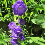 villapoggiotorselli09-20140515-152659