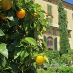 villapoggiotorselli10-20140515-152708