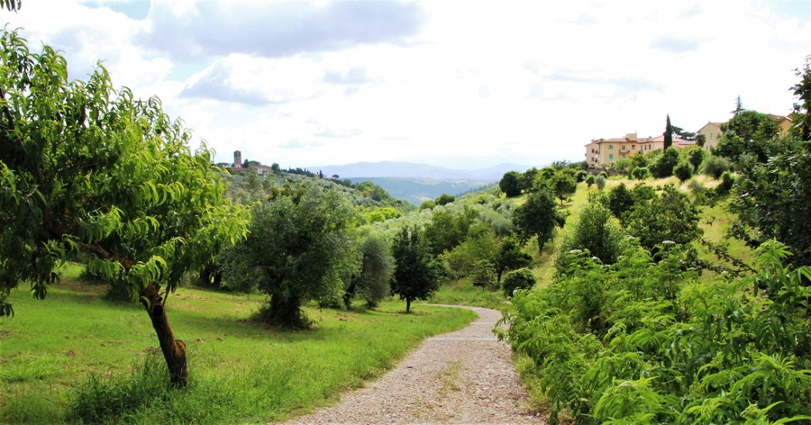 Il Fossatino