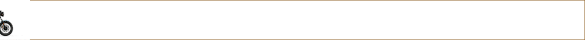 spot_img