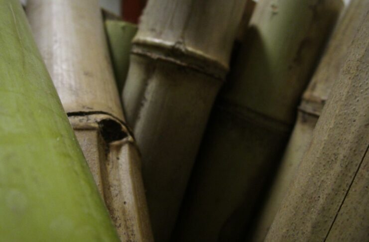 A fior d'acqua riflessioni su paesaggio e ambiente attraverso l'arte4