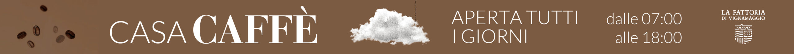 spot_img
