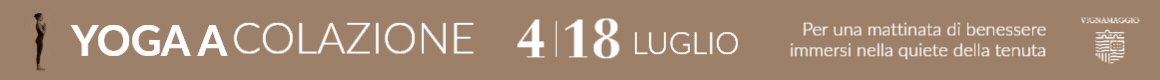 spot_img